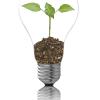 Lightbulb with plant inside