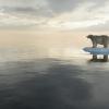 sea ice
