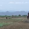 Preparing the Fields