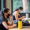 A girl studying on a computer