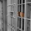 Prison