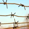 Building bridges between perilous homes and new horizons