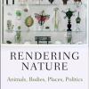 Cover of Rendering Nature