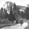 Underneath and alongside human history is a history involving animals, as one might note here: President Theodore Roosevelt and John Muir ride horses along a road in Yosemite Valley in 1903, with Half Dome in the distance, accompanied by Park Rangers Archie Leonard and Charles Leidig, followed by unidentified man on foot; left to right, Leonard, Muir, Roosevelt, Leidig. Photo courtesy of U.S. National Park Service.