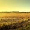 rural