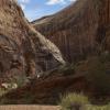 Black Dragon Canyon is deep, narrow and sinuous, and desert varnish darkens the walls. 