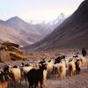 Himalayas