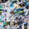 Memorial wall with photos of war victims in Ukraine