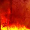 fire