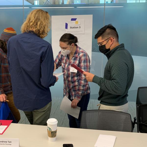 Learning by design fellows collaborating