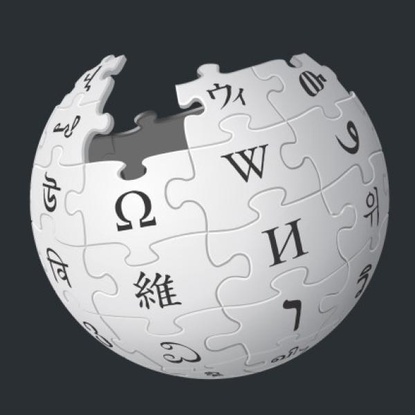 Wikipedia icon
