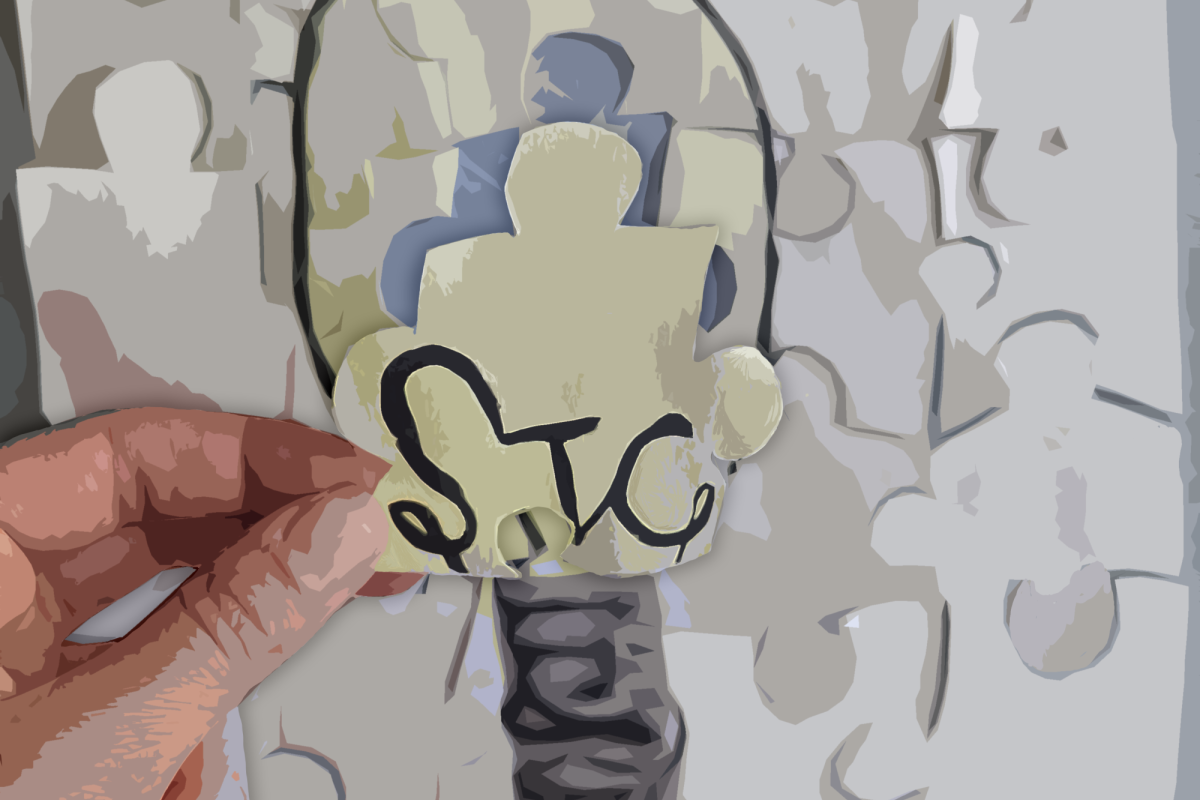 STC light bulb puzzle piece