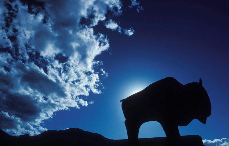 Silhouette of the statue of Ralphie, the CU Boulder mascot