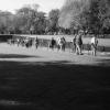 line of people walking across a greenway
