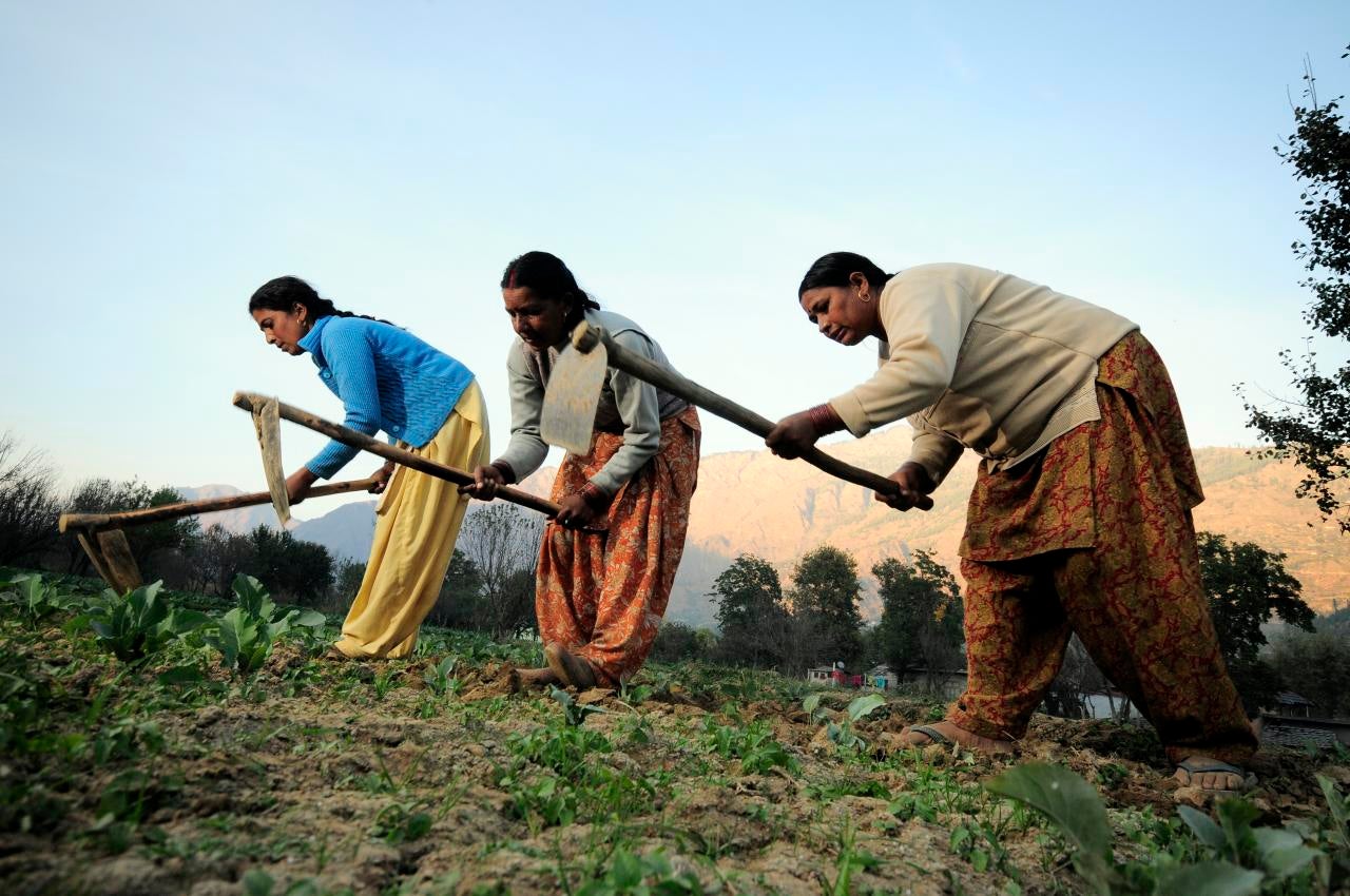 Female Indian farmers