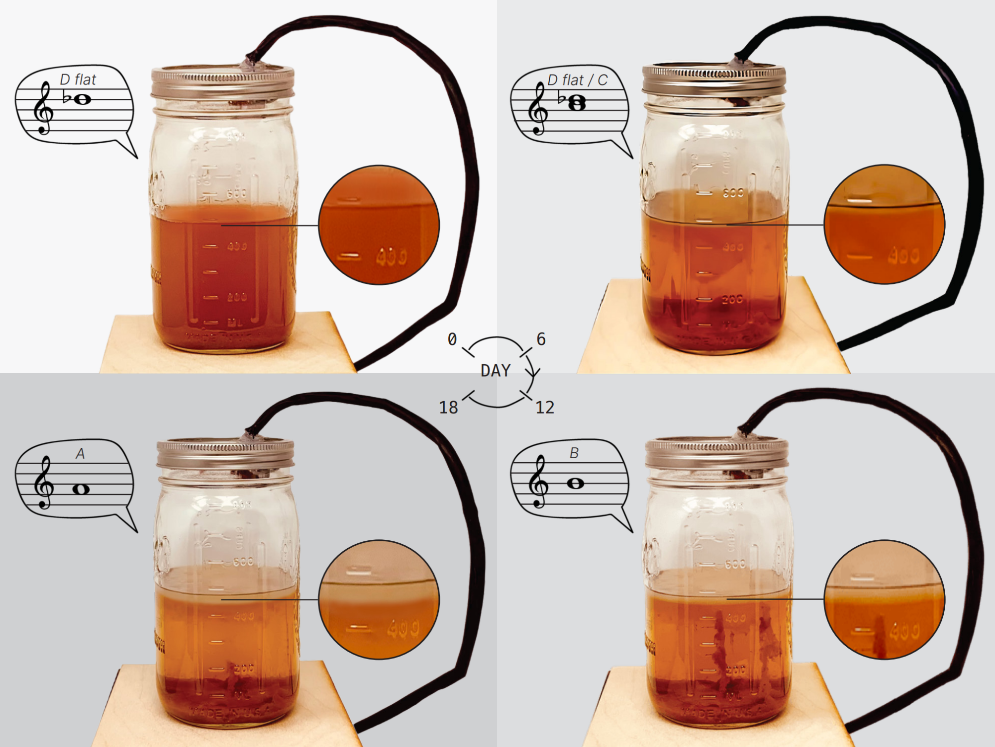 Microbiology as meditation: Living Matter Lab explores “livingness” in ...