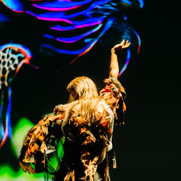 a dancer dressed in feathers posing with a projection of colorful birds in the background