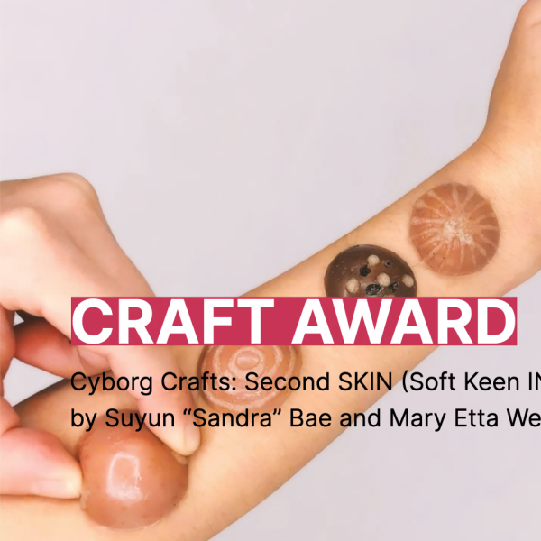Craft Award image