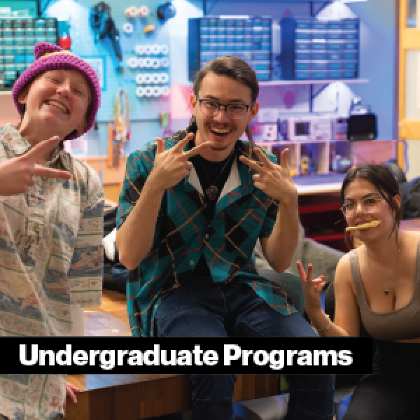 Link to Undergraduate Programs info