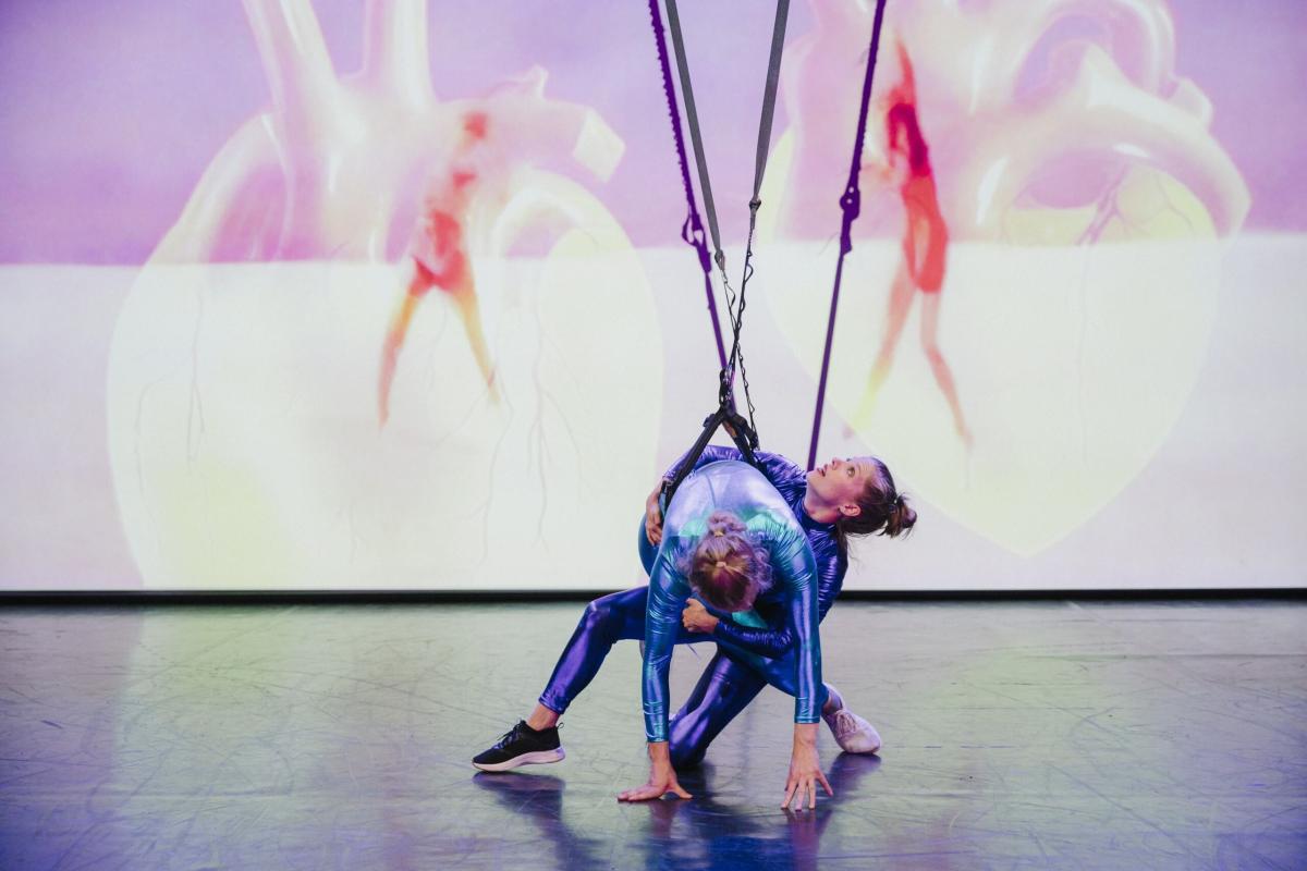 aerial artists performing in front of a video projection of dancers