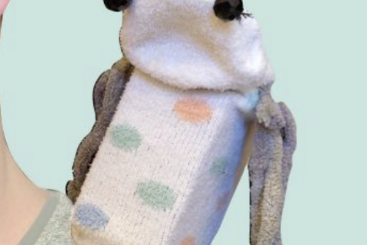 A sock puppet on someone's shoulder