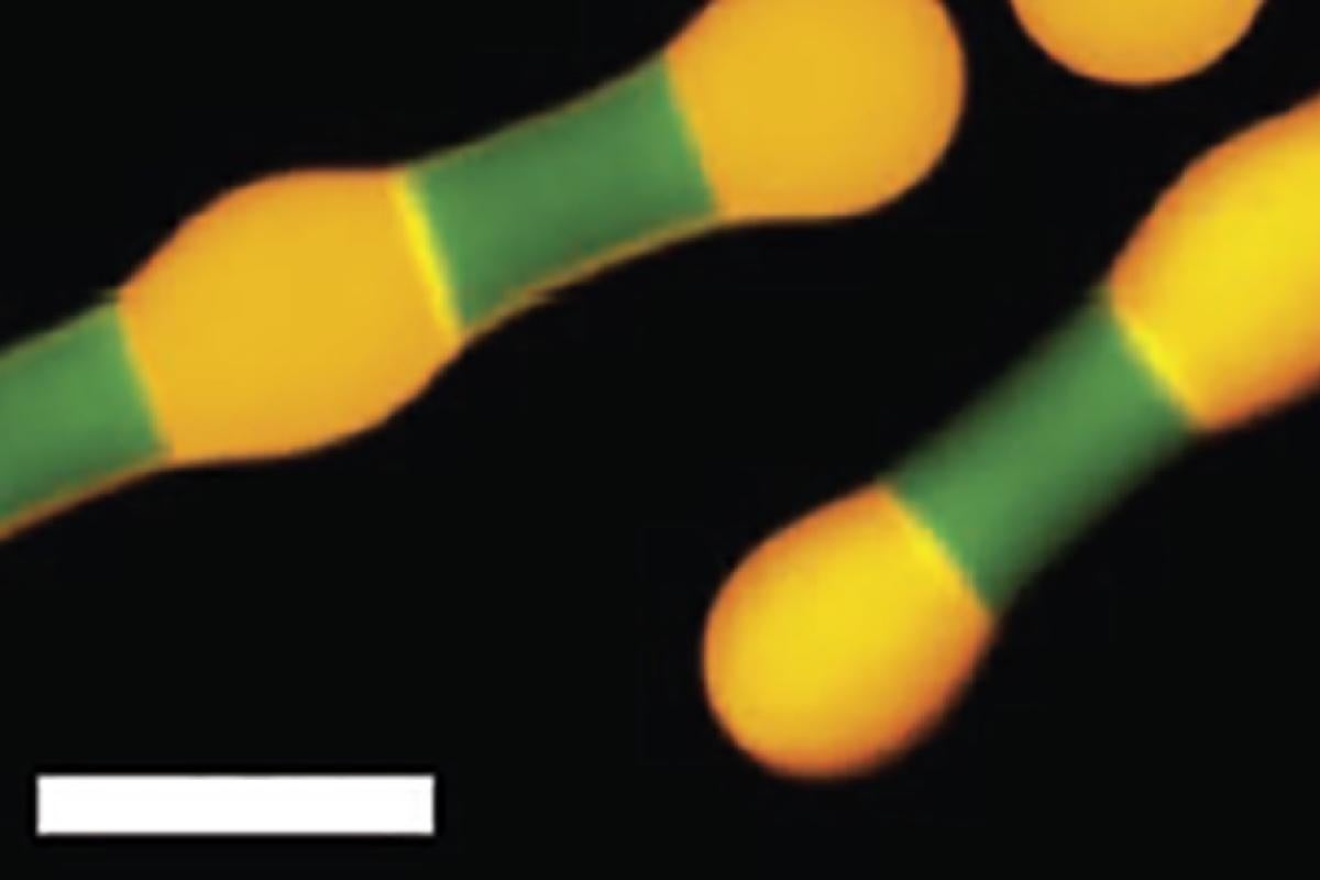 Colloidal Rotaxanes thumbnail