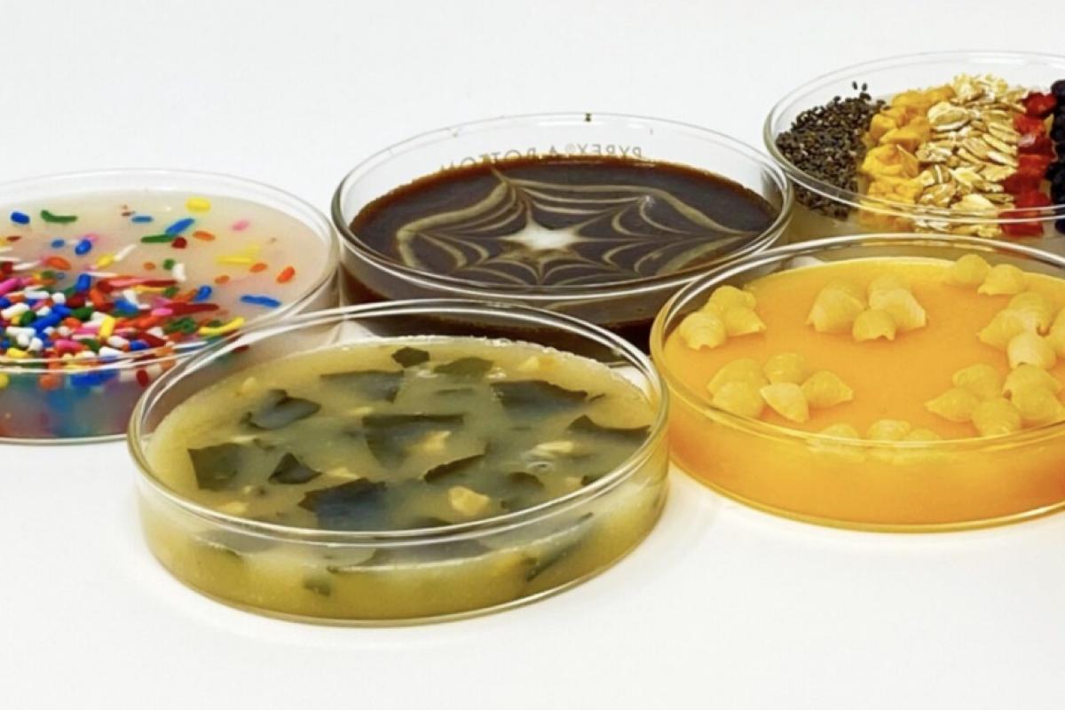 lab grade food thumbnail
