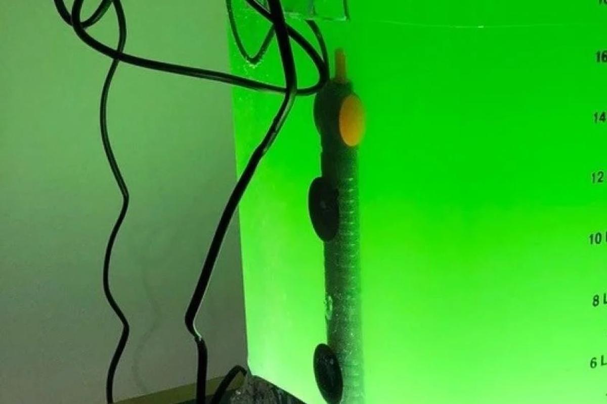 microalgae bioreactor thumbnail
