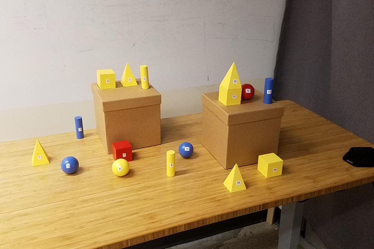 Colorful blocks on a table in experimental setup for the disambiguation study.
