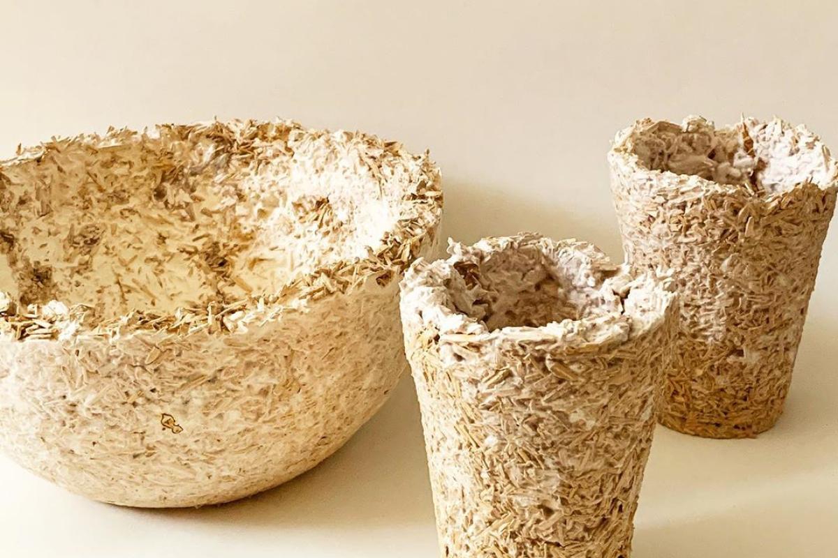 A bowl and two flower vases made from mycelium.