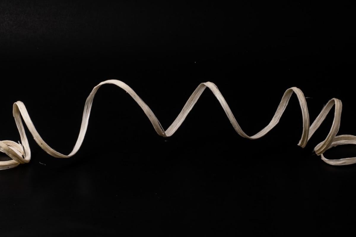 Gelatin Fibers on a black background