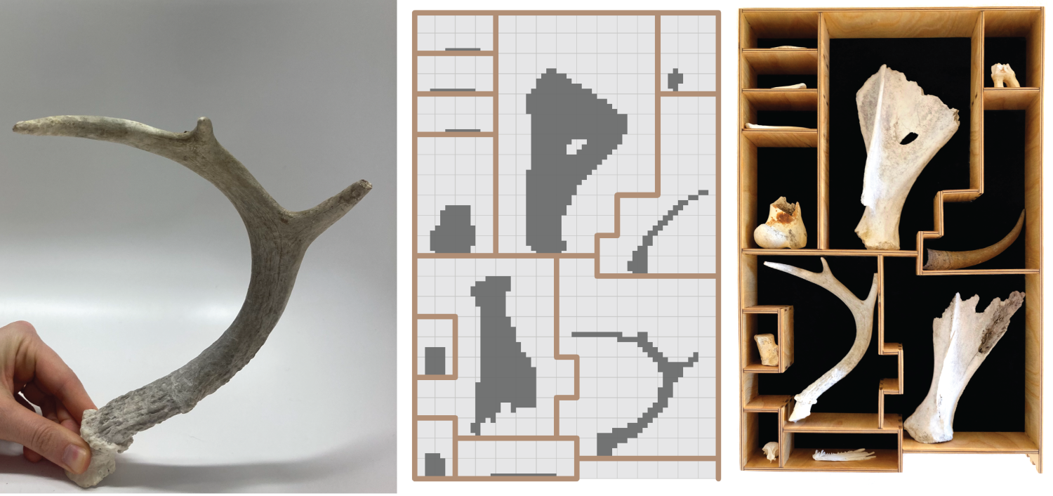 Comparison of physical bones on a shelf to a digital pattern