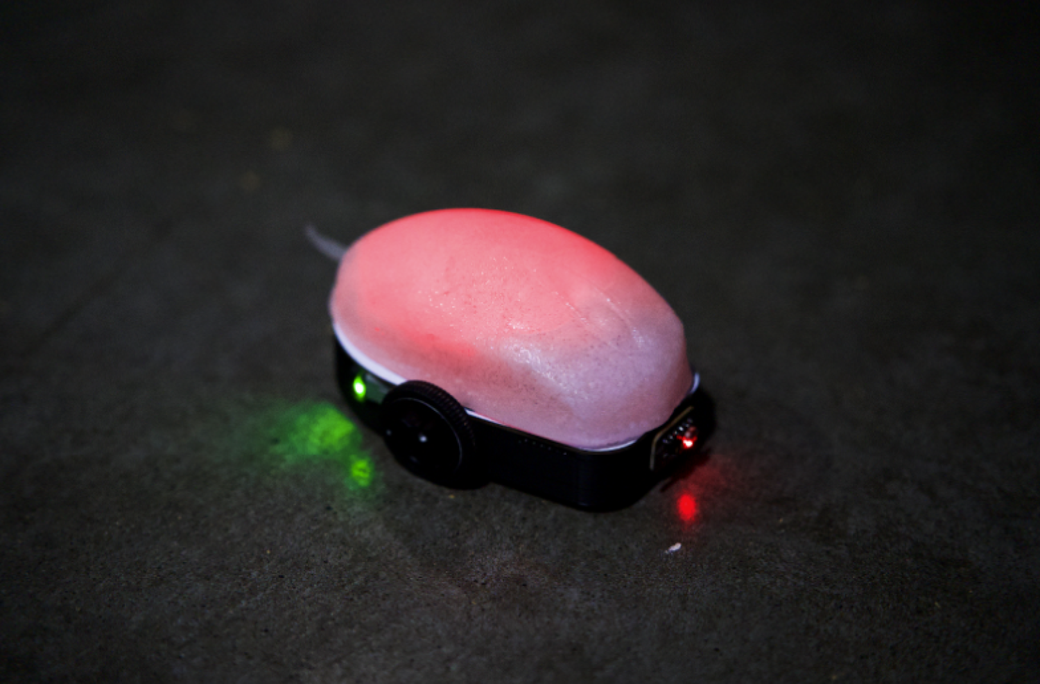 Red lit electronic mouse
