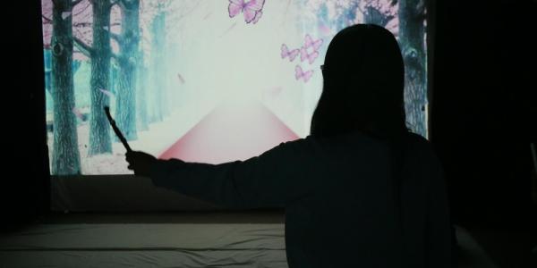 Silhouette of person in front of image of butterflies.