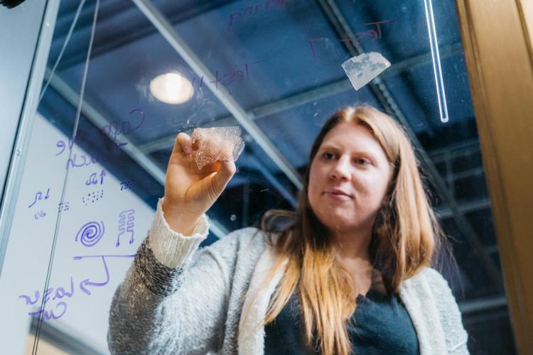 Fiona Bell peels bioplastic from window