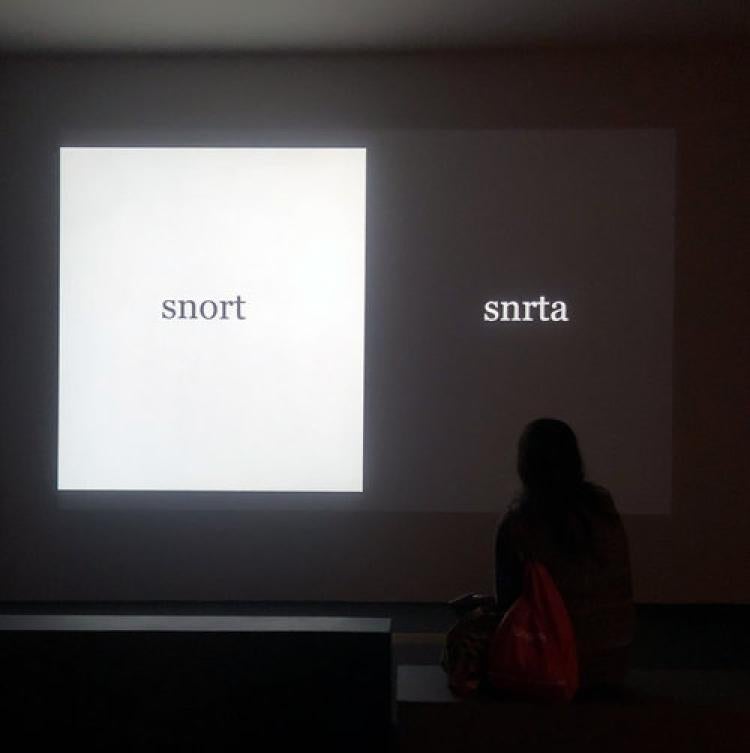 A view of the Co-Dependent Algorithms exhibit, which shows "snort" on the left and "snrta" on the right.