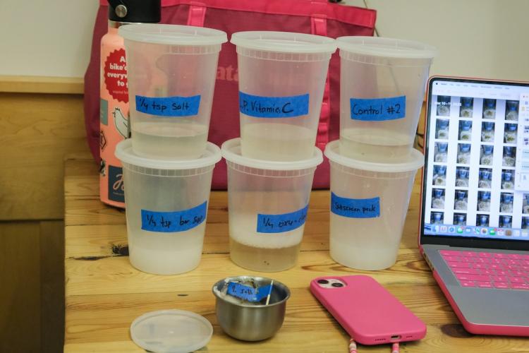 Hacking the Apocalypse project including plastic containers of various compounds