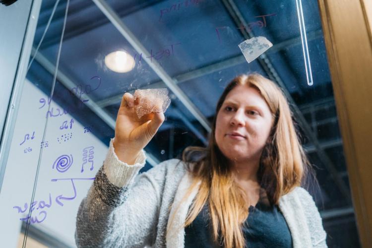 Fiona Bell peels bioplastic off window