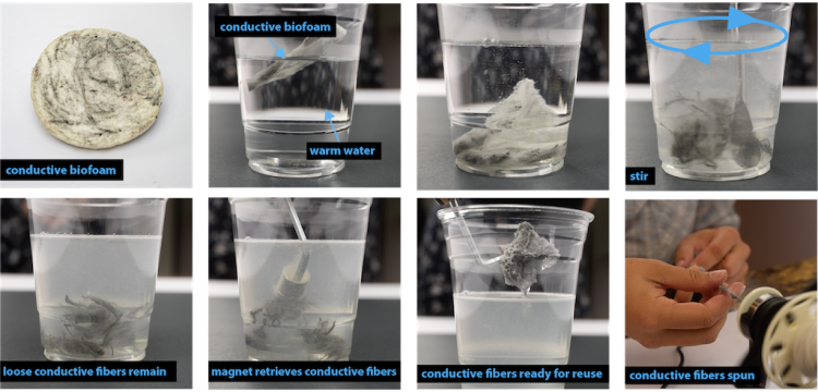 The different lifecycles of biofoam