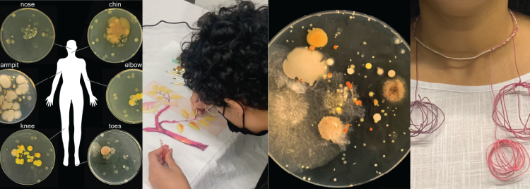 Human microbiome research image collage