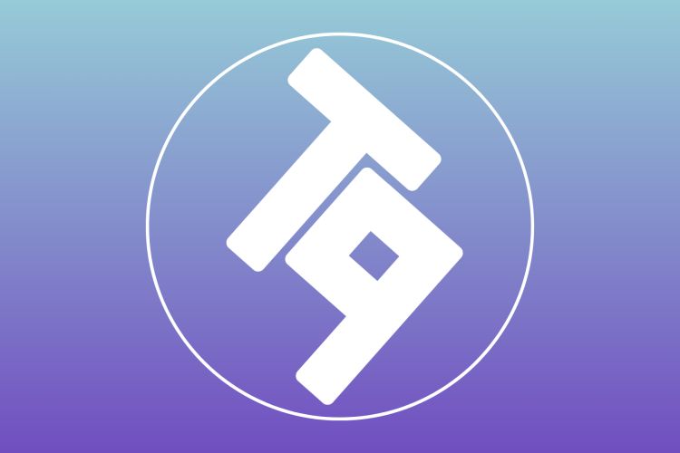 T9Hacks logo