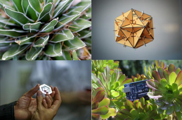 Photos of electronics in nature