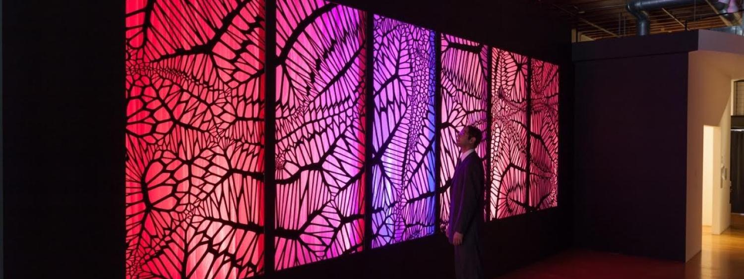 Man standing in front of interactive "Supraliminal" exhibit