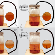 Photo series of SCOBY growth with corresponding musical notes