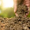 Person holding handful of fertilizer