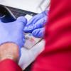 Embedding a tattoo on pigs skin