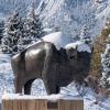 Ralphie sculpture in the snow