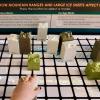 Close-up of exhibit blocks with digital projections and a hand moving a block