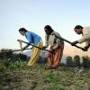 Female Indian farmers
