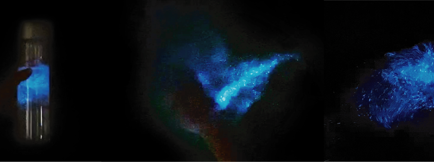 Three environments that facilitate physical kinetic interactions with Dinoflagellates (bioluminescent algae). Examples of the environments are (a) a bottle containing Dinoflagellates, (b) a foam surface soaking Dinoflagellates, and (c) Dinoflagellates in a wide bowl.